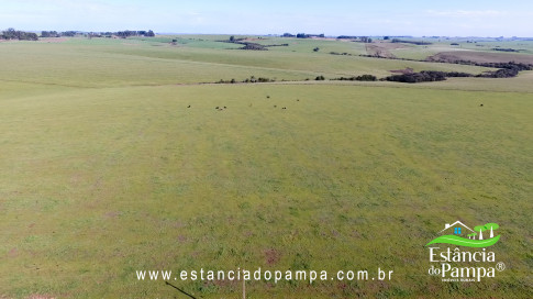 IMAGEM FIXA NA COXILHA.00_02_27_17.Quadro020_357bbd02ff0eb00e2e1826648ff450636c143159.jpg